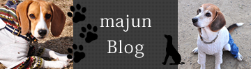 majun Blog