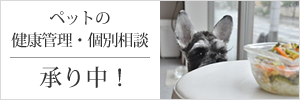 ペットの健康管理・個別相談