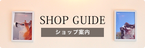 SHOP GUIDE