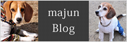 majun blog