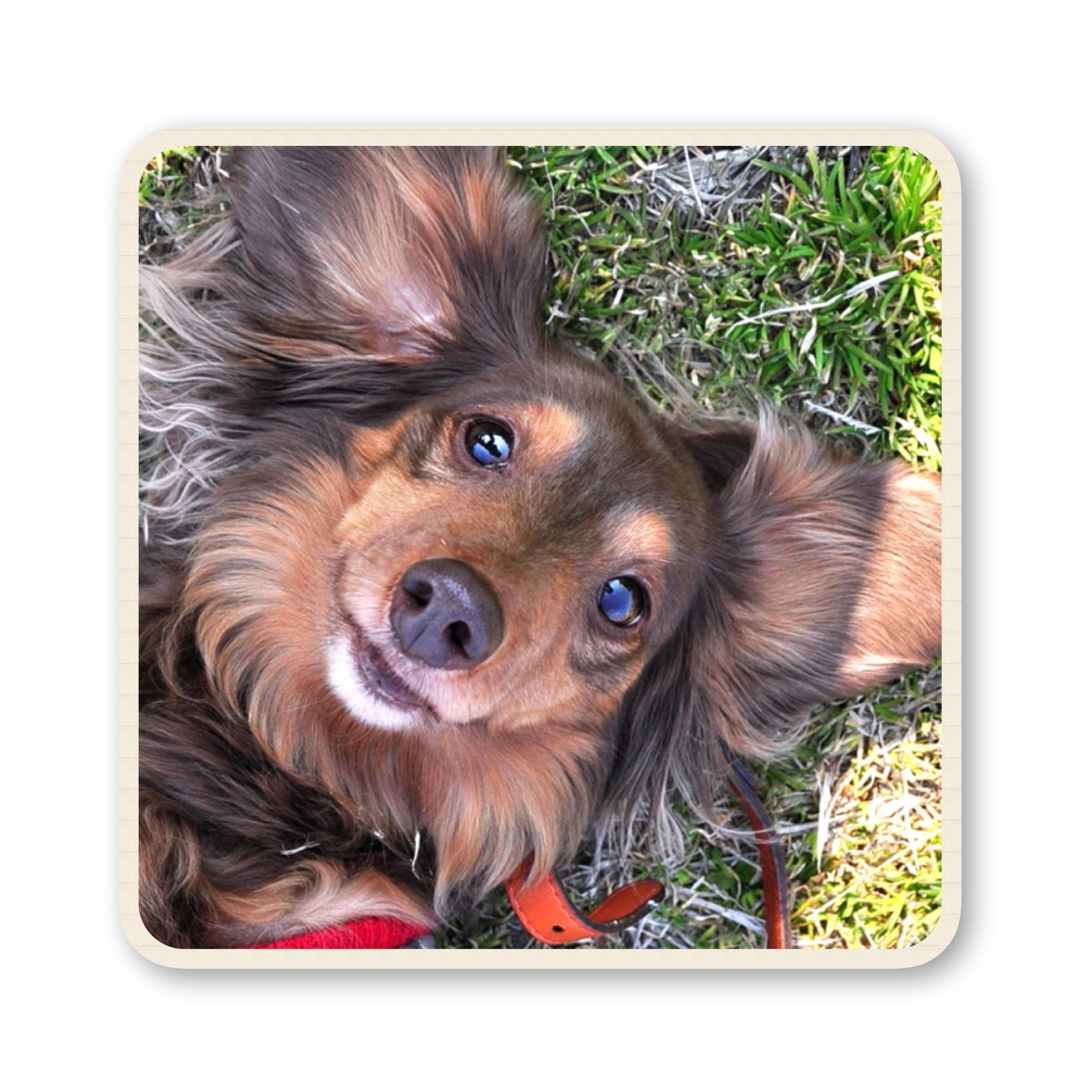 ファイル 2017 07 19 16 52 18