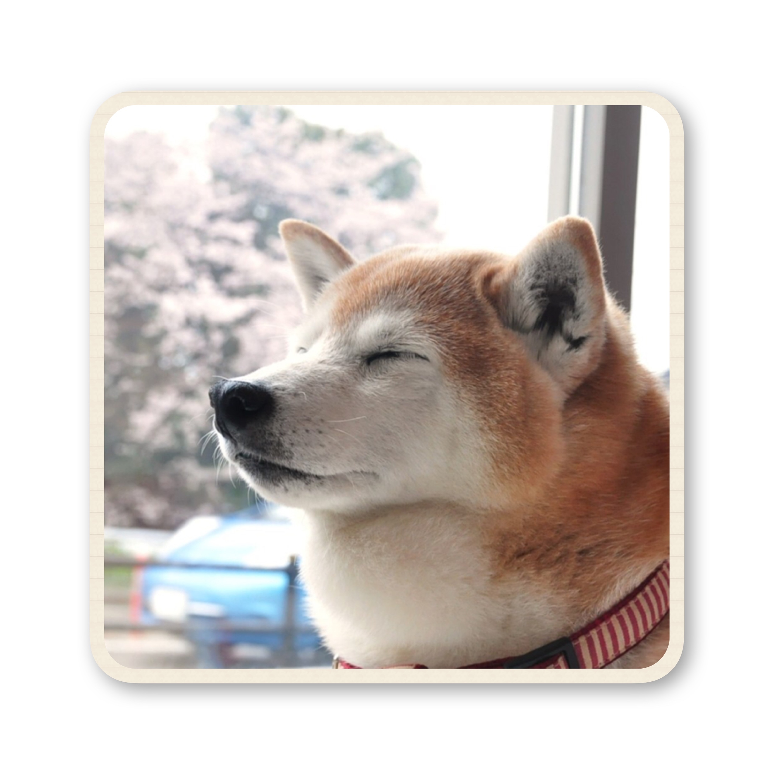 ファイル 2017 07 19 16 53 17