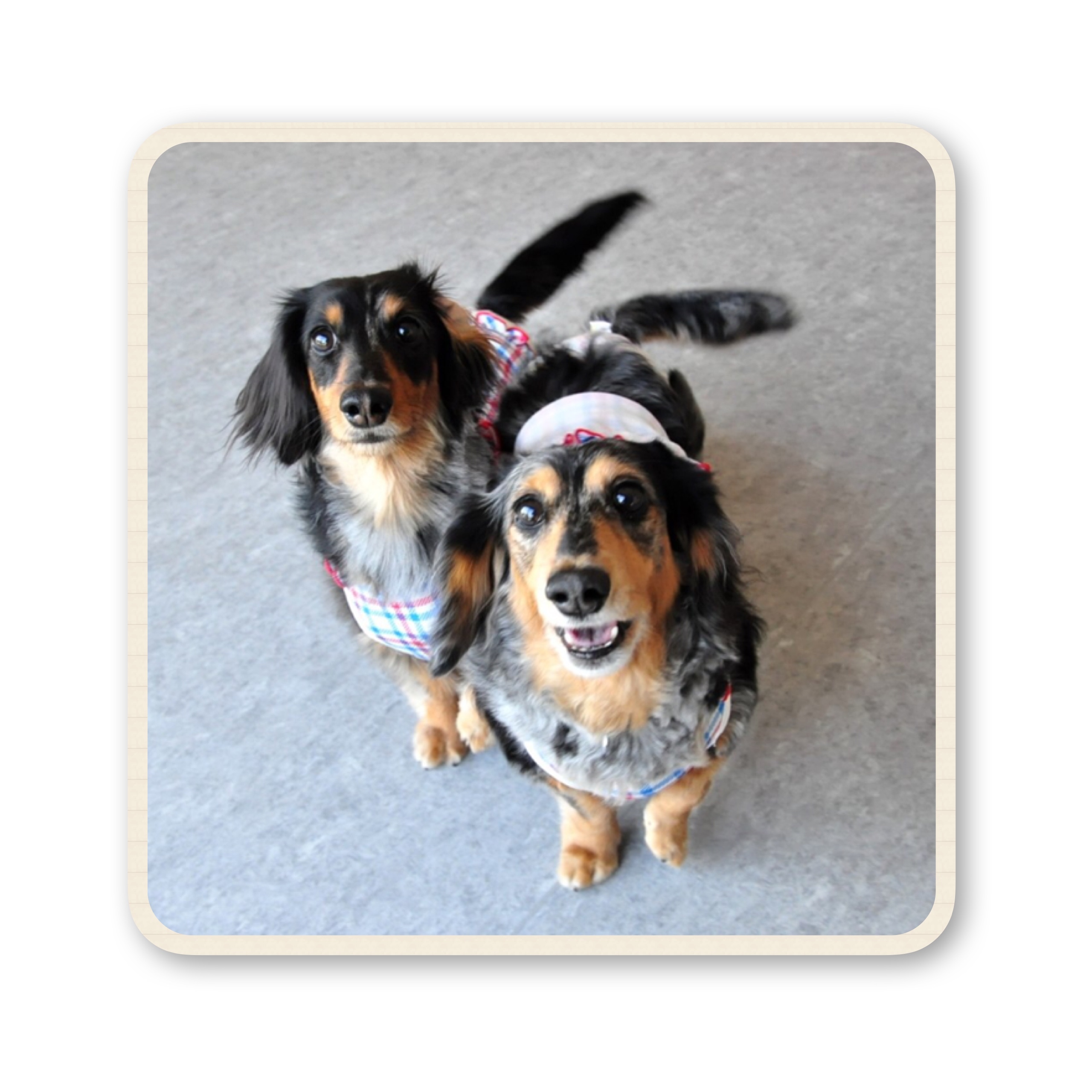 ファイル 2017 07 19 16 53 39