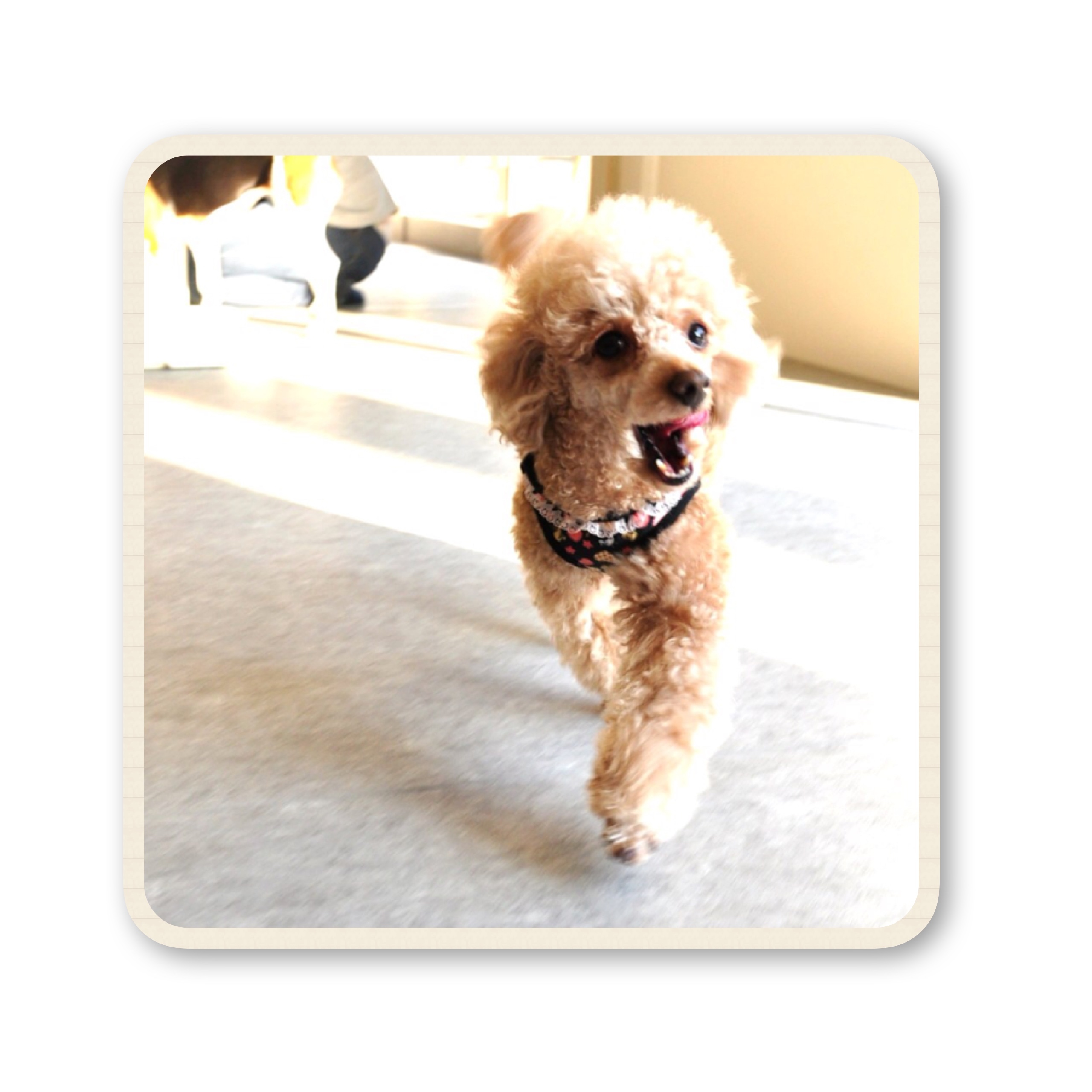 ファイル 2017 07 19 16 55 35