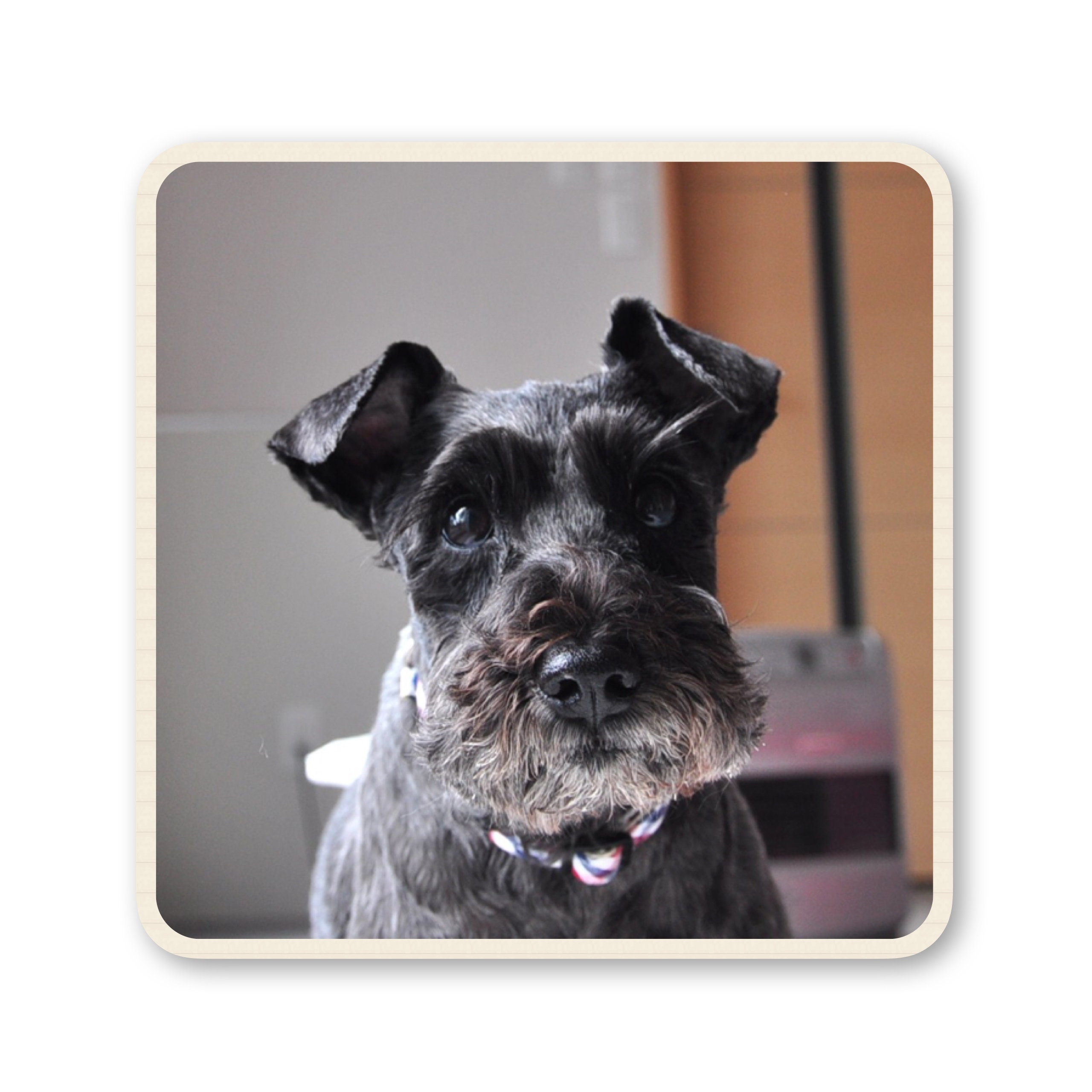 ファイル 2017 07 19 16 56 15