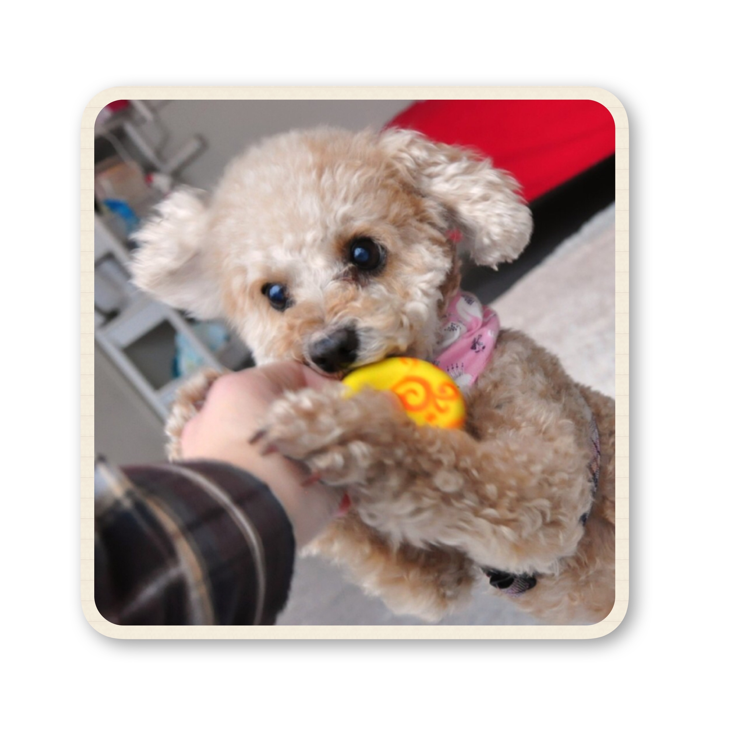 ファイル 2017 07 19 16 56 32