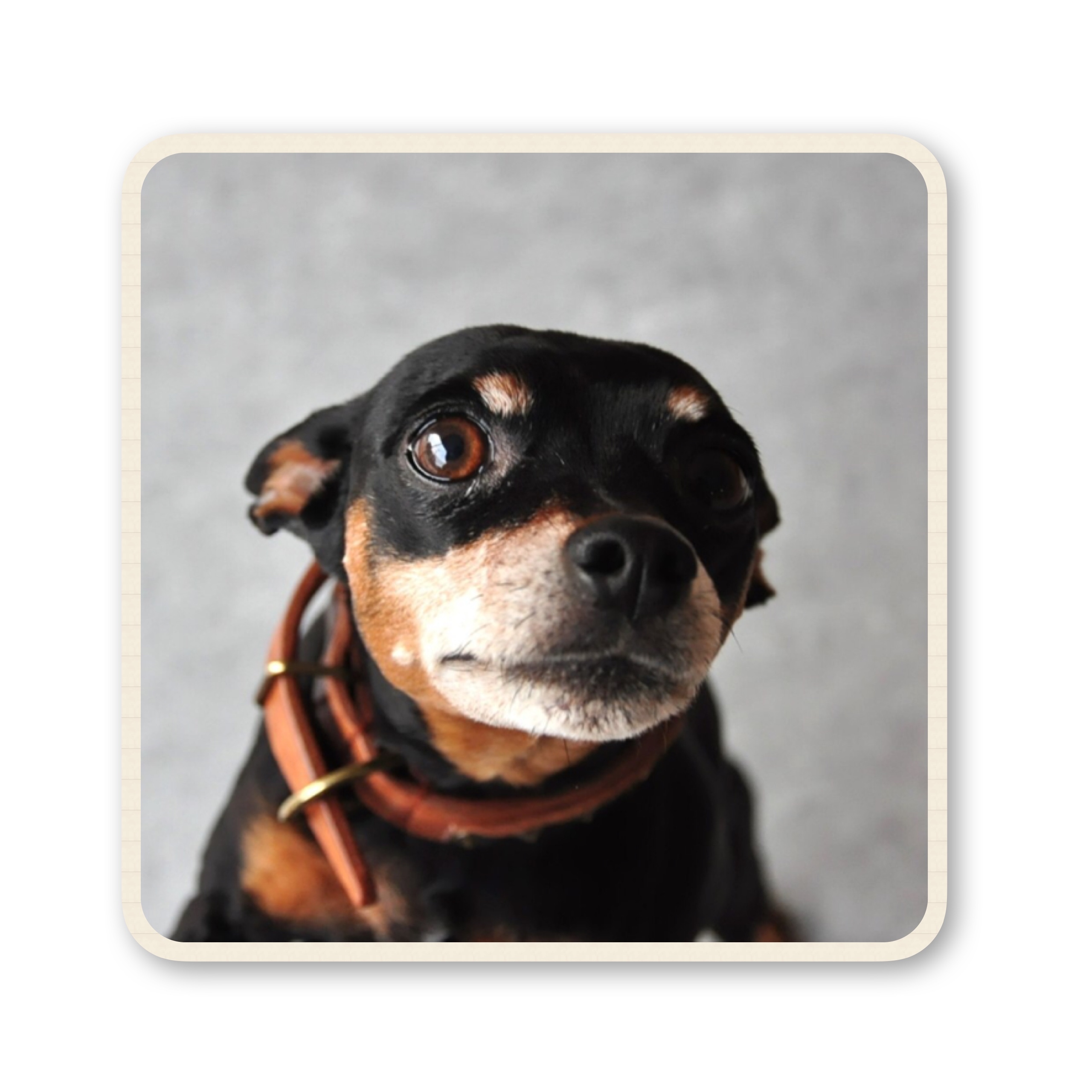 ファイル 2017 07 19 16 56 56