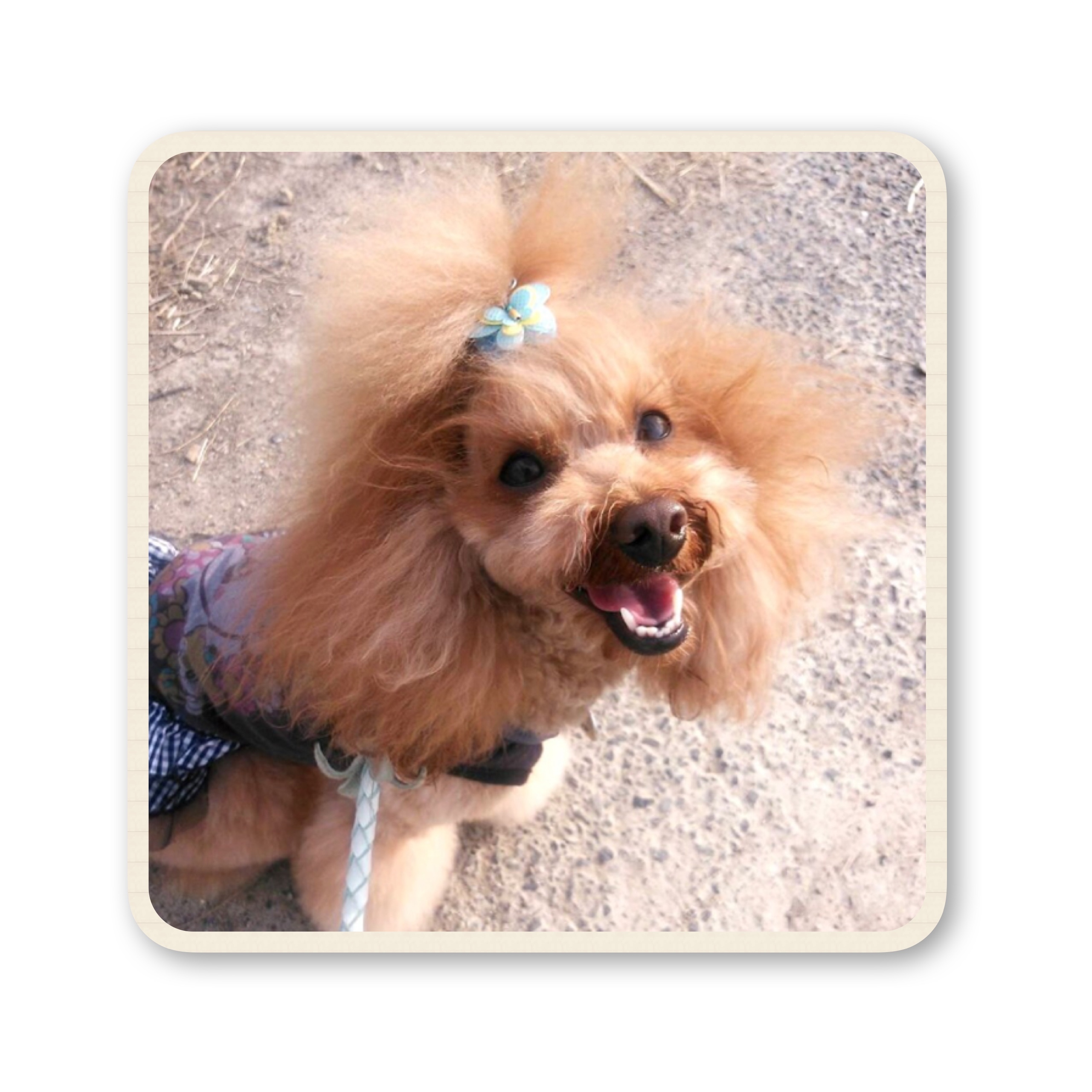 ファイル 2017 07 19 16 57 17