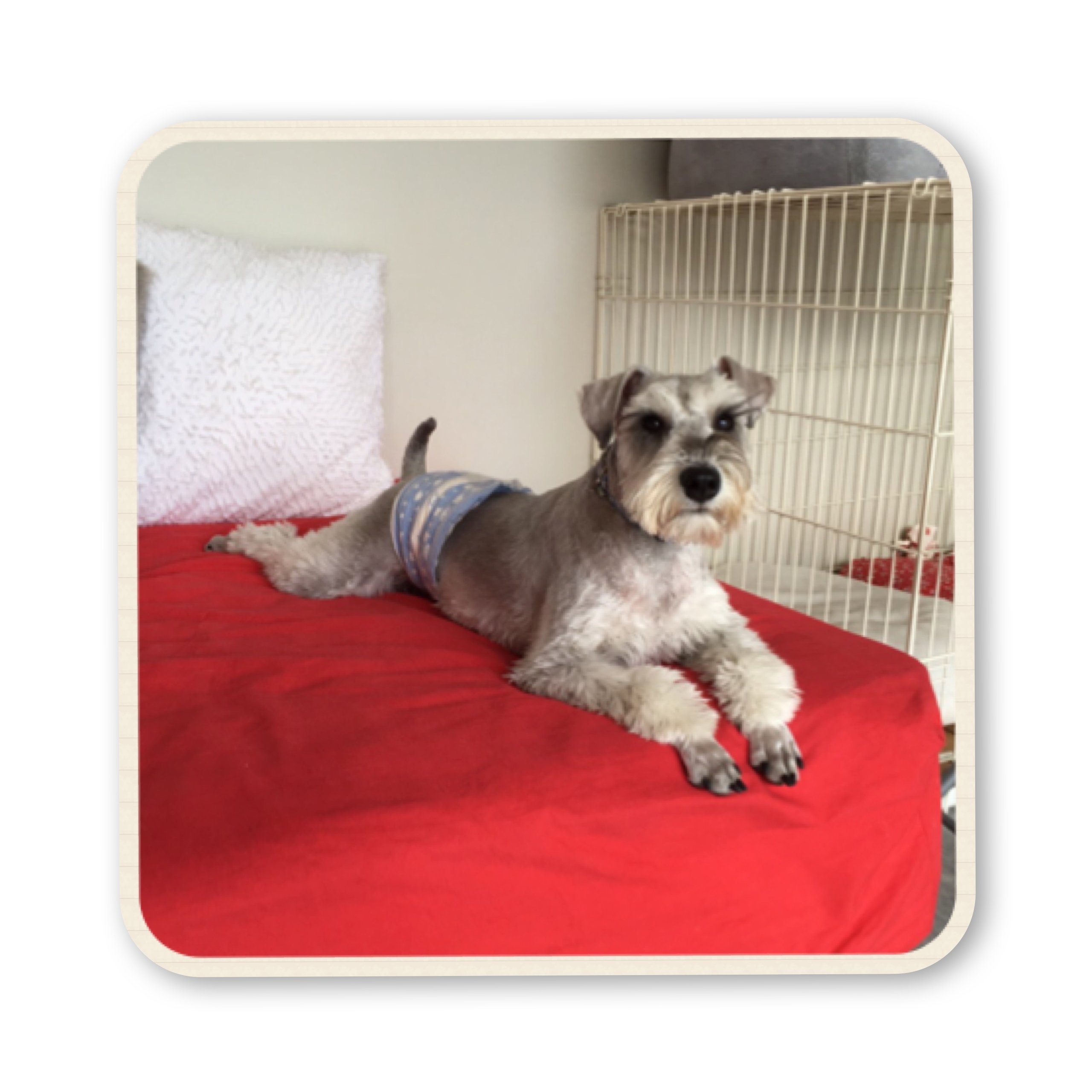 ファイル 2017 07 19 16 57 58