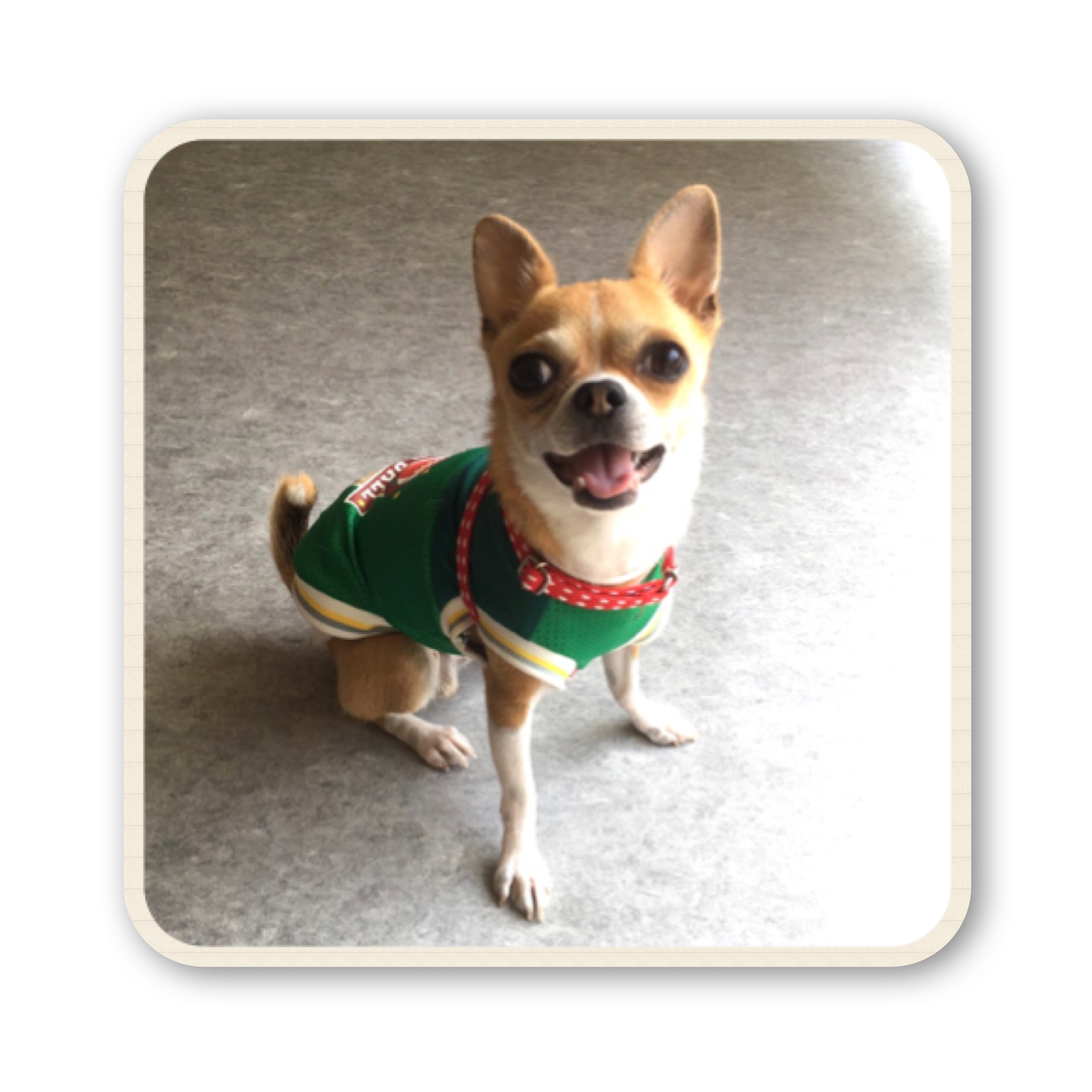 ファイル 2017 07 19 16 59 45