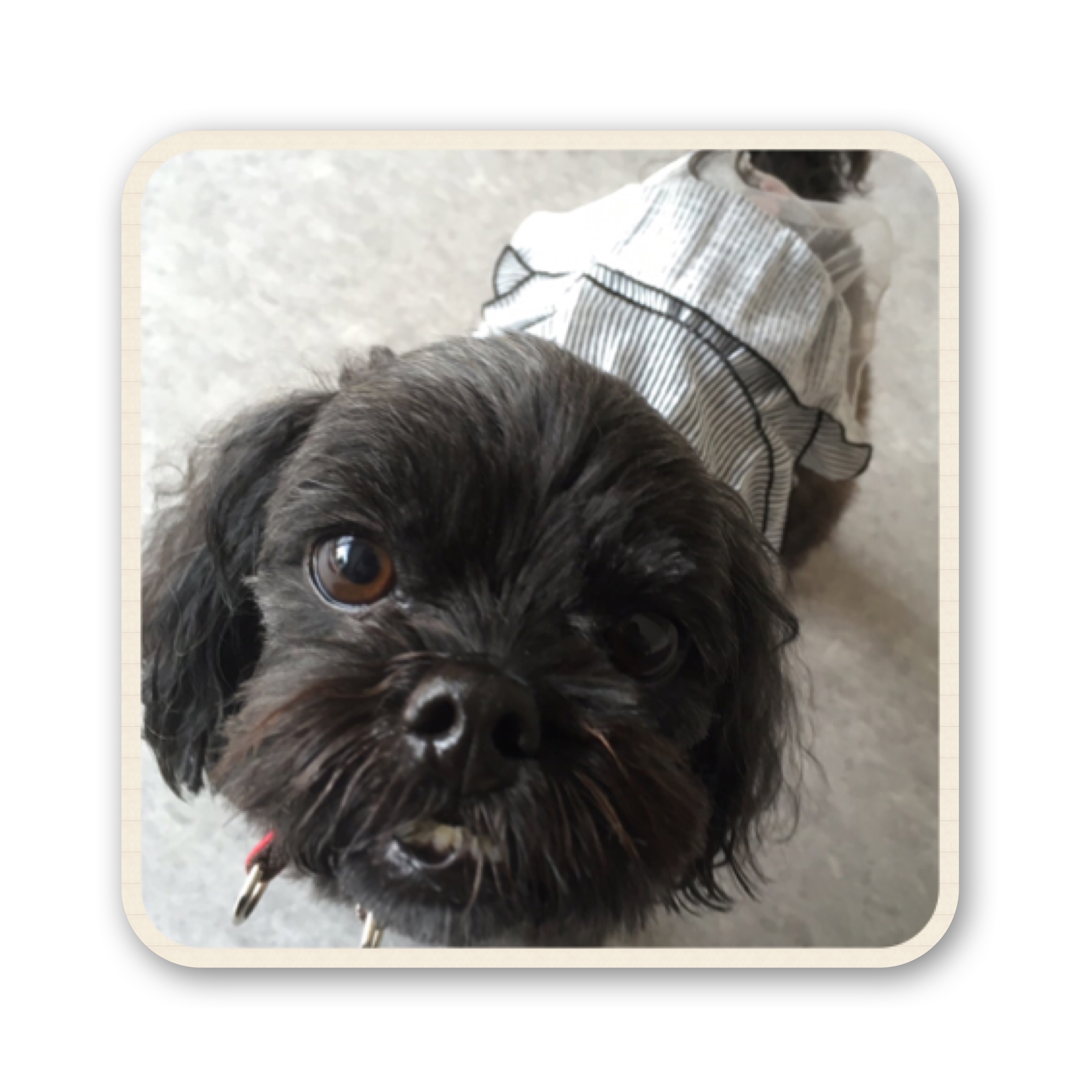 ファイル 2017 07 19 17 08 10