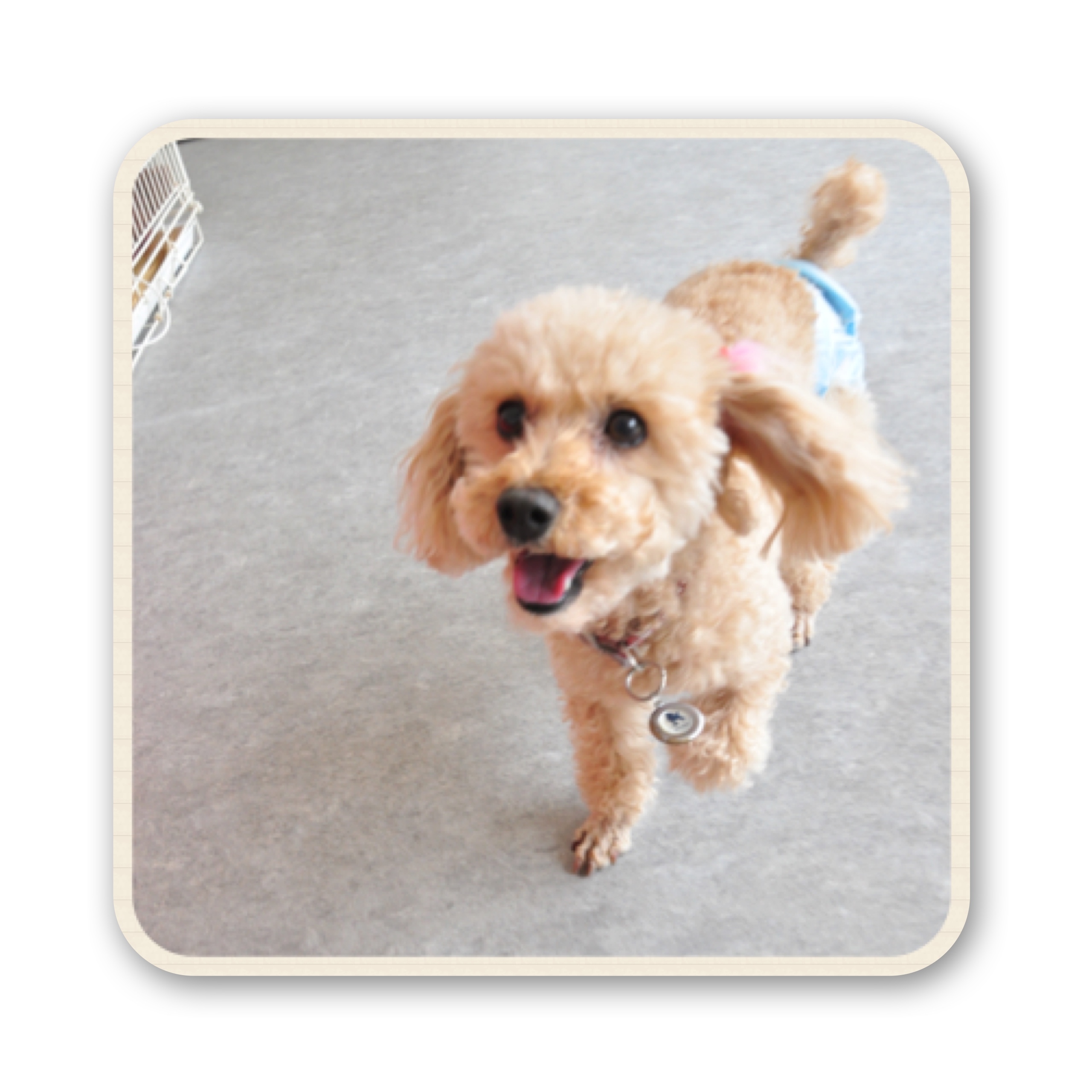 ファイル 2017 07 19 17 08 53