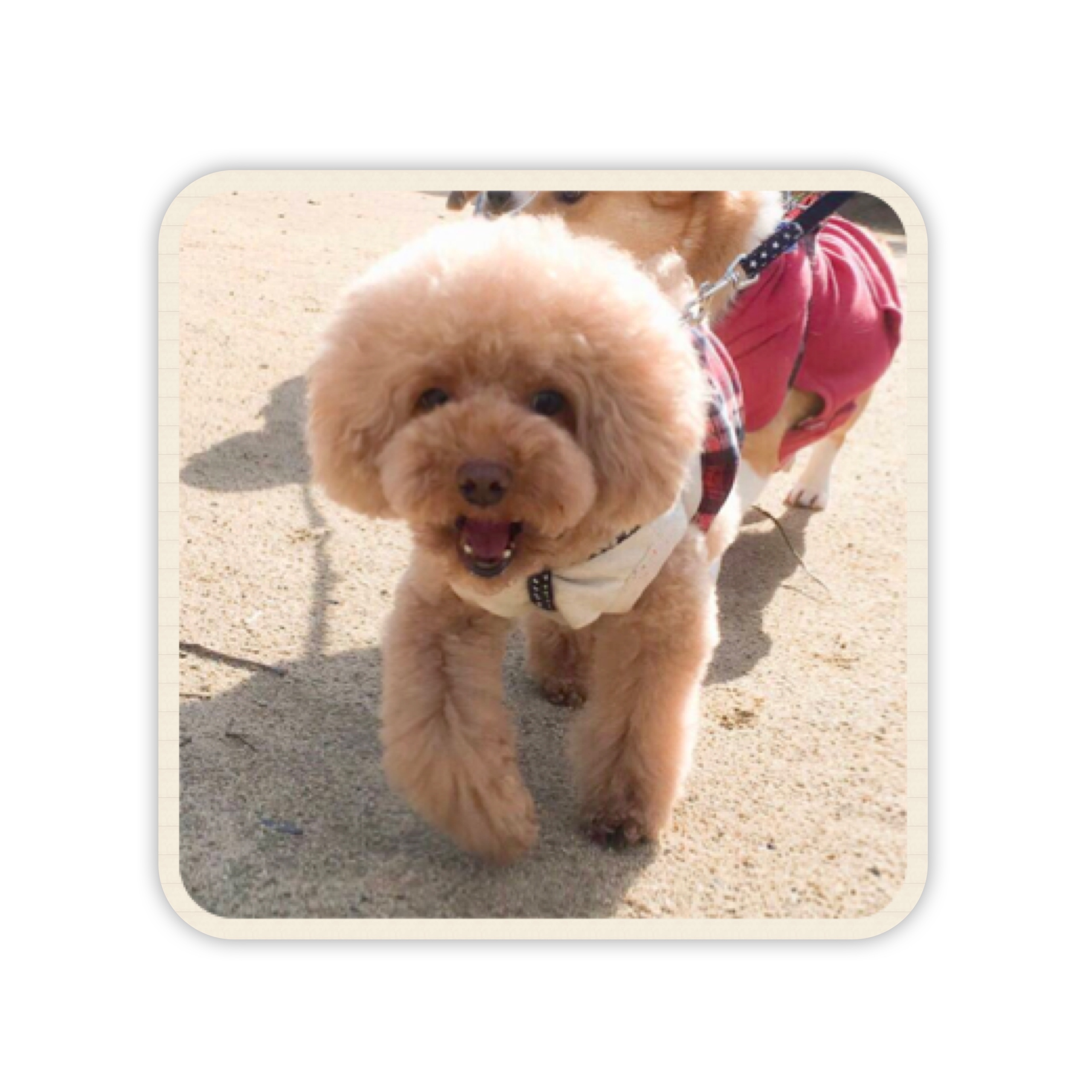 ファイル 2017 07 19 19 13 31