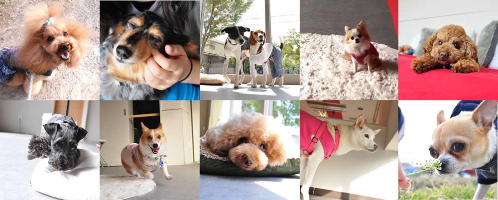 自分自身と我が子が本当に望むことを