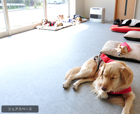 シェアスペース