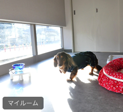 マイルーム