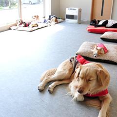 シェアスペース