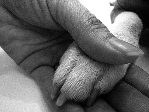 初めて当店をご利用いただく皆様へ