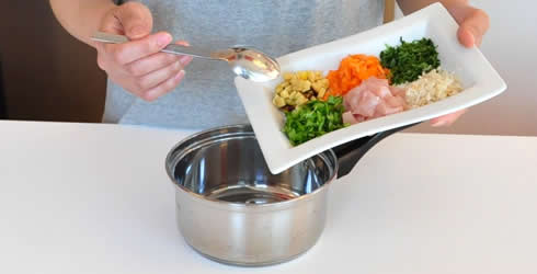 ペット食育入門講座